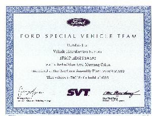SVT Certificatejpg.jpg